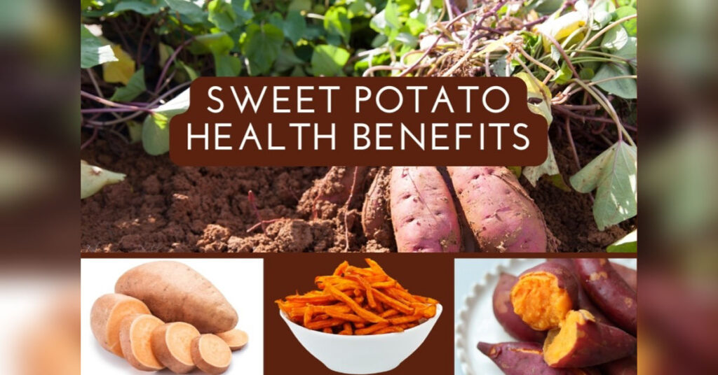 Sweet Potato Health Benefits