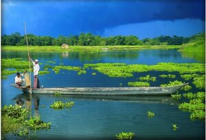 Majuli